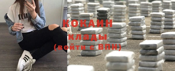 стаф Вязники