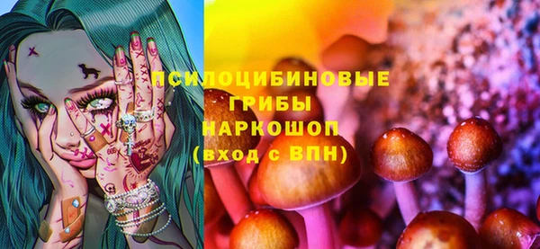 2c-b Вяземский