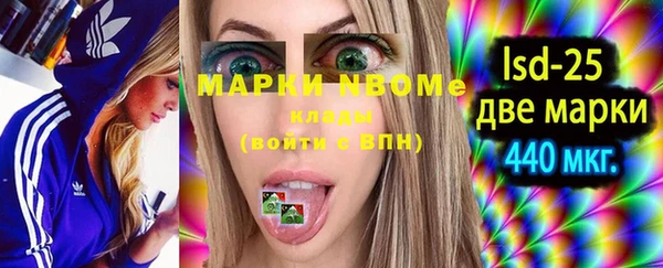 стаф Вязники