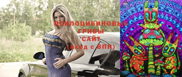стаф Вязники