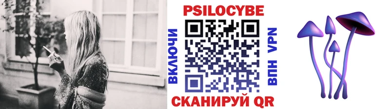 MEGA как войти  Черкесск  Псилоцибиновые грибы Cubensis  цена  